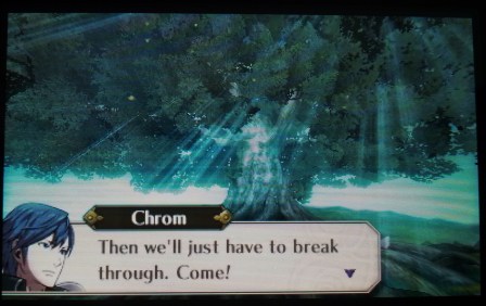 IMG_20140112_094727_206