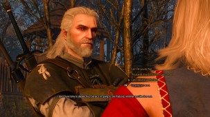 witcher dialogue