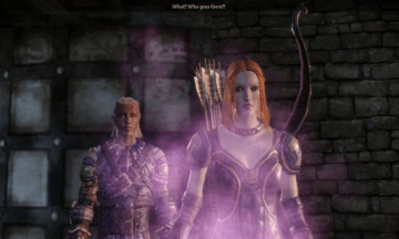 dragon age origins character.PNG