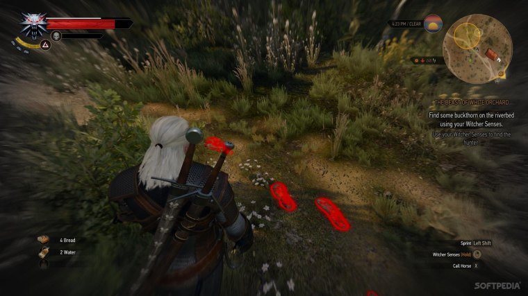 Geralt Witcher Senses